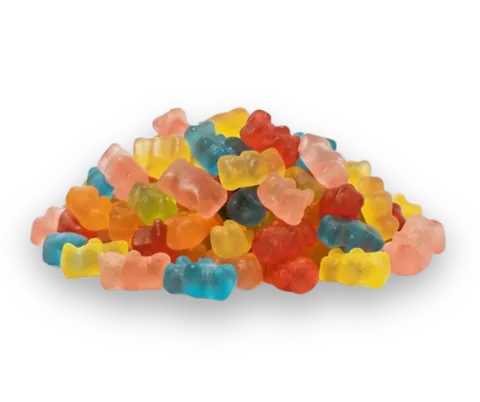 Panditas
